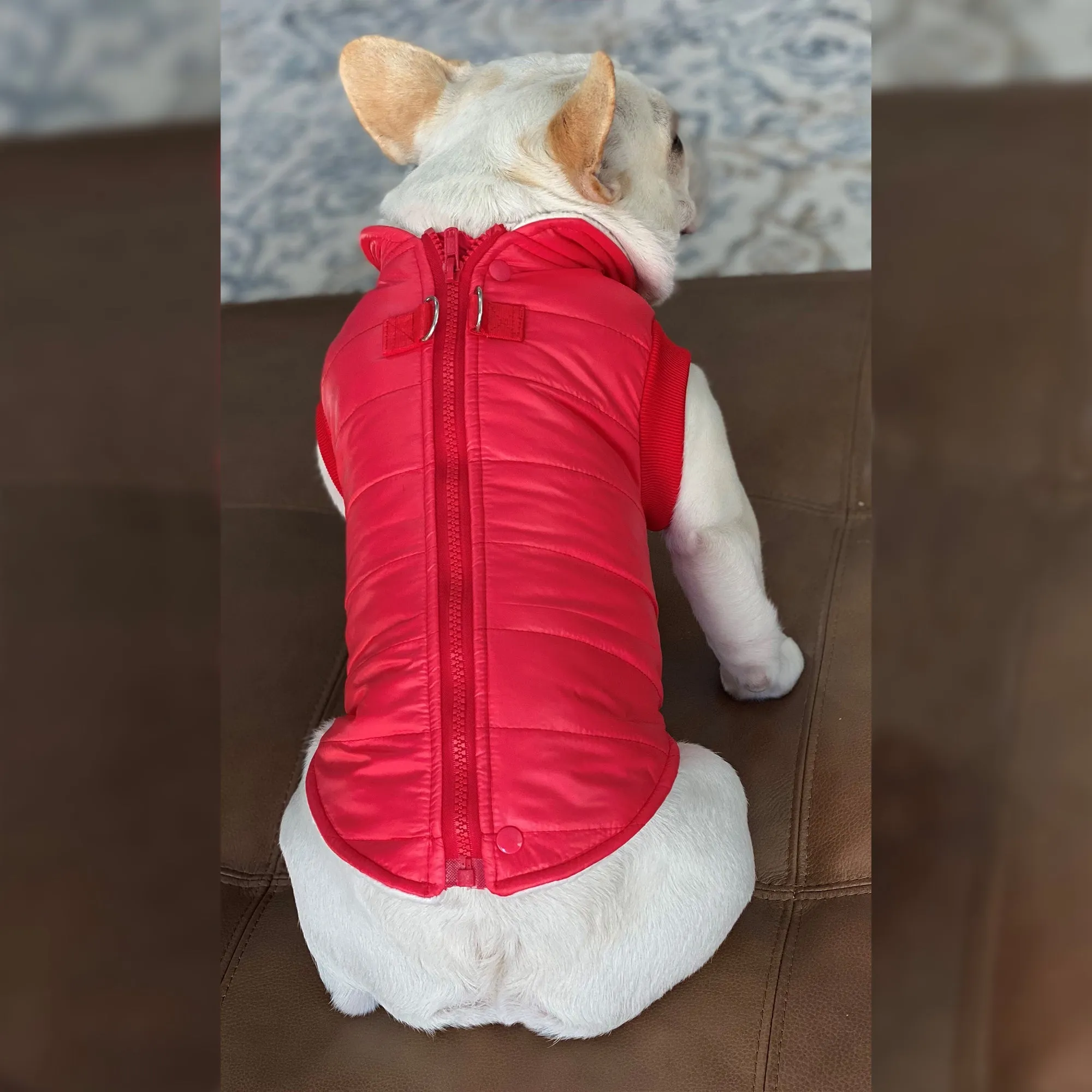 Padded Vest Jacket with Zipper Closure and Leash Ring
